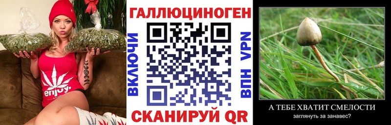 Галлюциногенные грибы Psilocybe  купить   Миллерово 