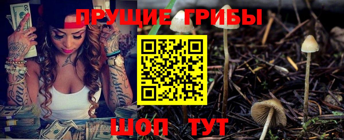 Миллерово  Галлюциногенные грибы Psilocybine cubensis  Вход с VPN 